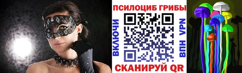 магазин продажи наркотиков  Каспийск  MEGA ссылки  Псилоцибиновые грибы мухоморы 